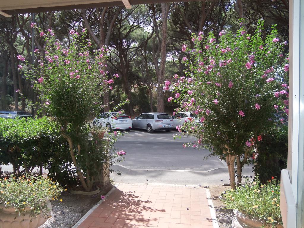 Hotel Parco Dei Pini - 100mt Dal Mare Follonica