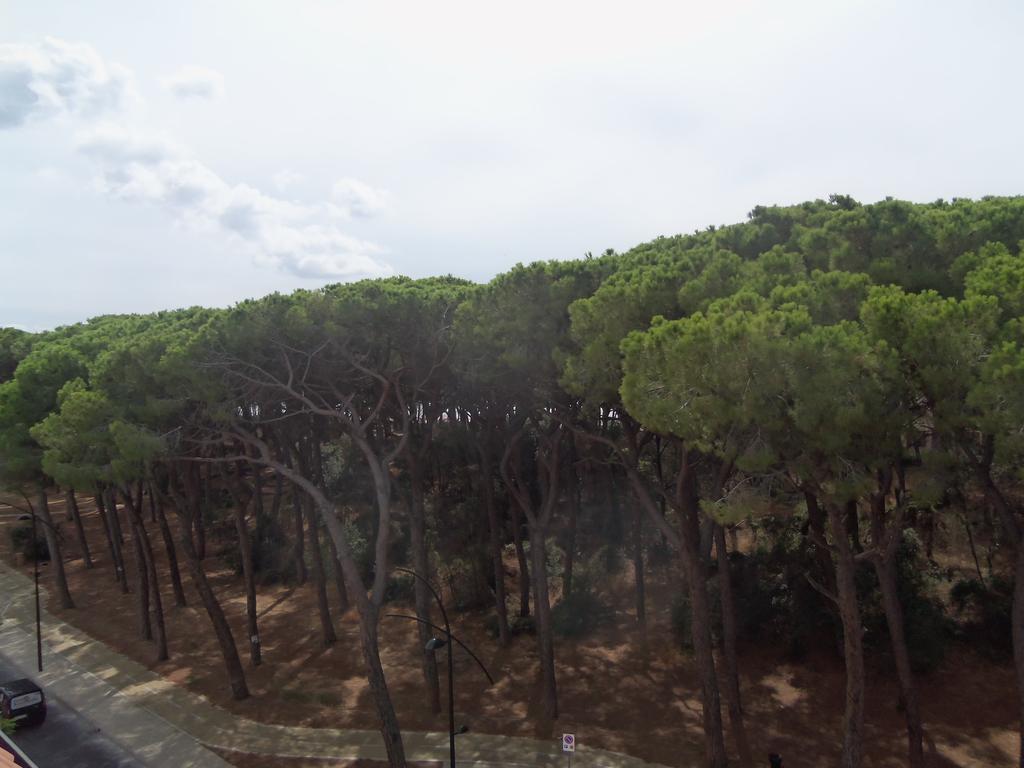Parco Dei Pini - 100mt Dal Mare 3*