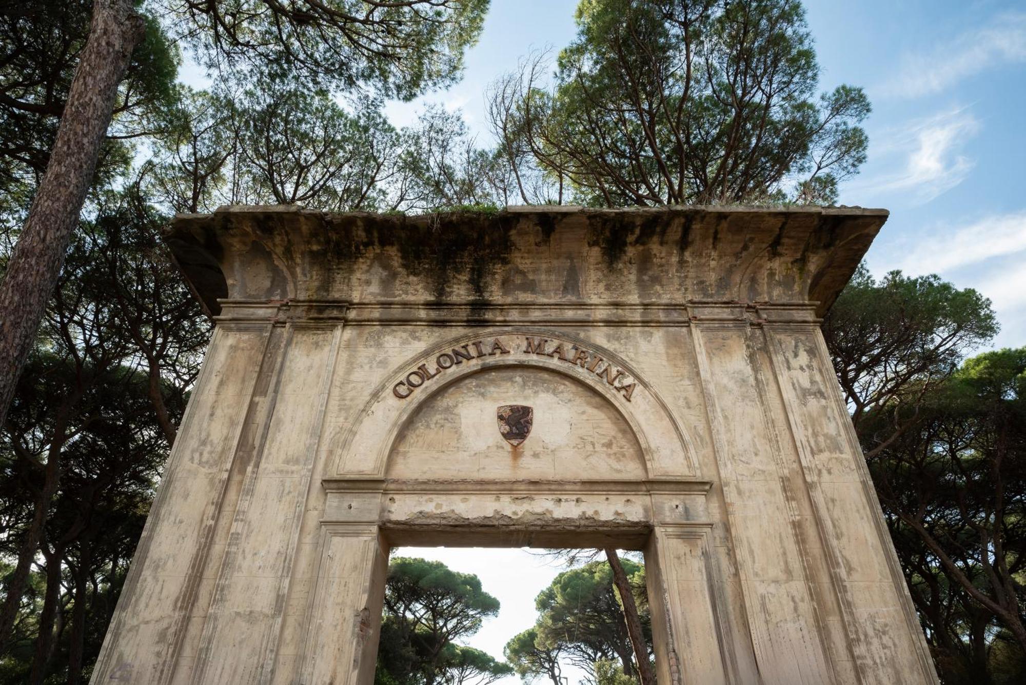 Hotel Parco Dei Pini - 100mt Dal Mare